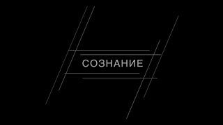 Проект "СОЗНАНИЕ" Как научиться побеждать? Мальцев Олег