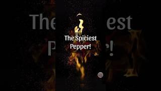 ️What is the Spiciest pepper in the World!  | Food Trivia #ytshorts