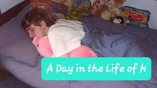 A Day in the Life of N