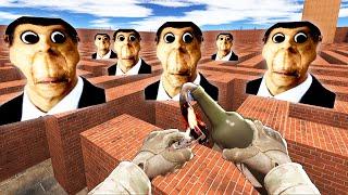 OBUNGA CHASES US IN THE LABYRINTH, OBUNGA NEXTBOT Garry's Mod