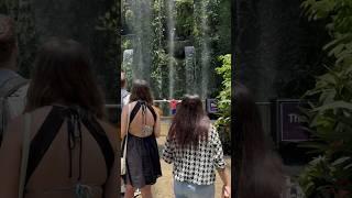 Beauty in Singapore travel Singapore #singapore #youtubeshorts #airport #singaporeairport #shorts