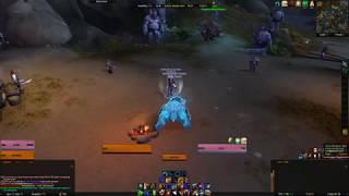 Guardian Druid vs Protection Paladin Reflect Damage