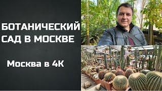 Москва в 4К. Аптекарский огород 2024. Ботанический сад в Москве. Достопримечательности Москвы.