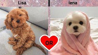 Lisa or Lena (would u rather) PoKeUnicorn #10