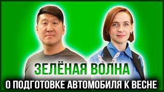 ЗЕЛЁНАЯ ВОЛНА | АЛЕКСАНДР ЛЯН — МАСТЕР СТО