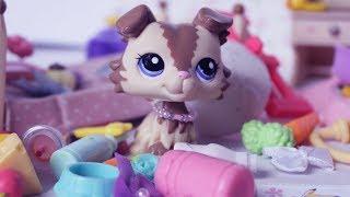 LPS Tidy Your Room! Littlest Pet Shop Skit