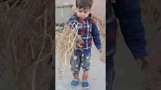 #babyboy #cutebaby #cute #funnyvideos #funny #kashyap #Kashyap ki Masti murgi farm house baby boy