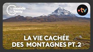 Les mystères des montagnes : Survie et adaptation en altitude - La vie cachée des montagnes