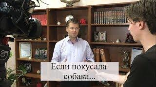 Что делать, если Вас укусила собака? Возмещение вреда здоровью: советы адвоката