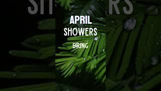 April Showers Bring May Flowers