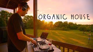 ALL DAY I DREAM // Beautiful Sunset Organic House Mix