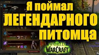 Я поймал ЛЕГЕНДАРНОГО питомца WoW / Виги