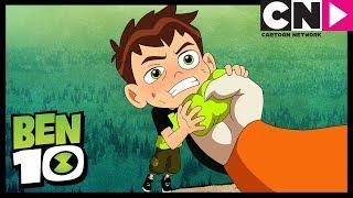 Ben 10 | Ben Is In Danger | Animorphosis | Cartoon Network