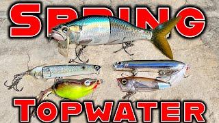 The Best Topwater Lures For Spring And Summer Bass Fishing!