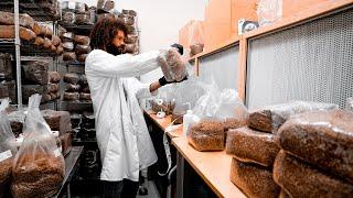 Mycelium Inoculation in the Lab | Southwest Mushrooms