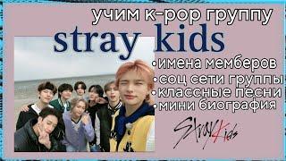 Учим группу stray kids /учим мемберов stray kids/популярная к-поп группа