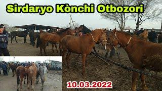 Sirdaryo Kònchi Otbozori 10.03.2022