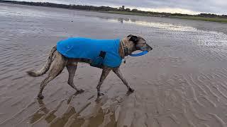 Bloo strutting his stuff