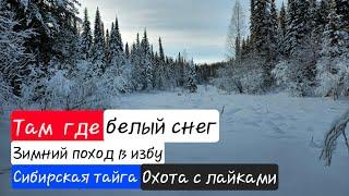 Там где белый снег / Зимний поход в избу / Сибирская тайга / Охота с лайками