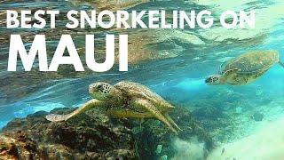 Black Rock Maui Snorkeling Tips | Kaanapali Beach for a Day of Great Snorkeling (turtles included)