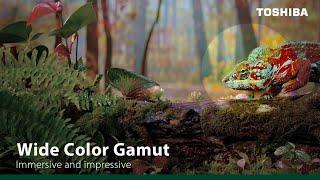 Toshiba TV’s Wide Color Gamut – A Wider Range, A More Real Experience