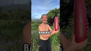 Eat Fruits Daily – Here's What Happens!