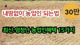 2024년:1000m2(302평) 없어도 농업인이 될수있어요 / 최신: 엄청난 농업인 혜택 15가지