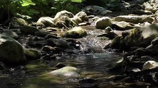 Peaceful Stream Sounds | Relaxing Stream sounds for Relaxation, Sleep, and Focus