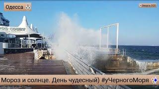 Одесса Мороз и солнце. День чудесный)  #уЧерногоМоря Февраль 2025