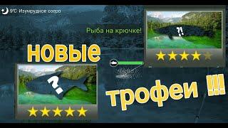 My Fishing World #2 НОВЫЙ ВОДОЕМ! ШОК ЭТО КАКОЕ-ТО ОЗЕРО ТРОФЕЕВ !!!