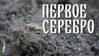 Серебро! Перспективное место. Прогнал из леса.