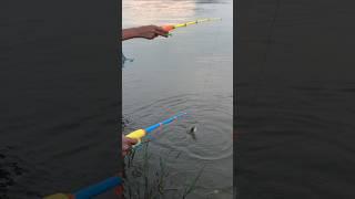 Fun with a toy fishing rod that can also catch fish #shorts