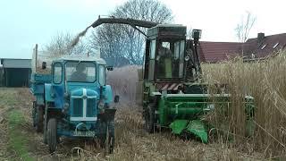 Famulus 36 und Fortschritt E281 mit John Deere Kettengebiss bei der Miscanthusernte