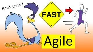 Learn English Words Faster - AGILE - Meaning, Vocabulary With Pictures and Examples 