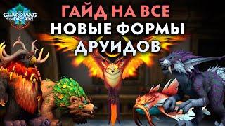 ПОЛУЧАЕМ ВСЕ НОВЫЕ ФОРМЫ ДРУИДА | ОБЗОР + РУКОВОДСТВО | Патч 10.2 WoW: Dragonflight 