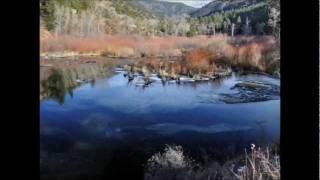 In The Mountains Of Northern New Mexico