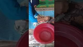lagi mandi Dede nya
