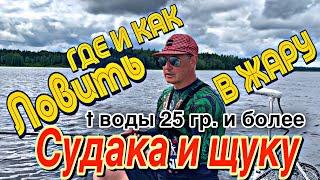 ГДЕ ИСКАТЬ СУДАКА В ЖАРУ??? ТЕМПЕРАТУРА ВОДЫ 25 гр. МОИ НАБЛЮДЕНИЯ!!! РЫБАЛКА 1.07.2024.