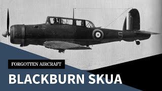 The Blackburn Skua; Fighting Dive-Bomber or Dive-Bombing Fighter?