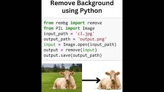 remove image background using python #python