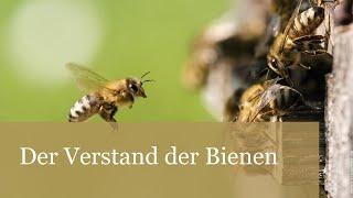 Der Verstand der Bienen