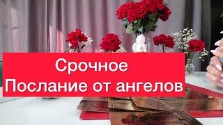 🫵СРОЧНОЕ послание от ваших ангелов!Просто смотри