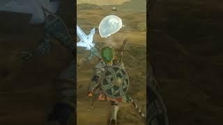 Chuchu Froze In Fear! #thelegendofzeldabreathofthewild