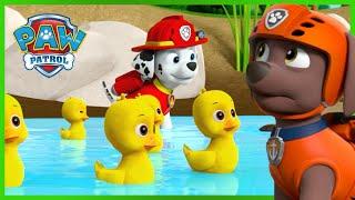 Marshall redt de eendenvijver - PAW Patrol Nederlands