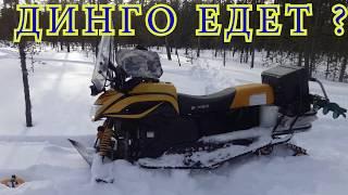 Мнение о DINGO T 150