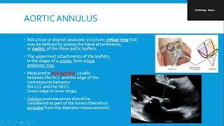 Echo Conference 16-10-2024 (Chamber Quantification)