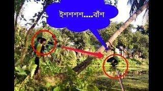 গাছের নিচে বাঁশ, দেখতে চাইলে হাসস..........