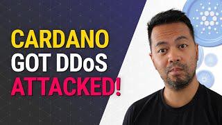 Cardano DDoS Attack - How the Community Stop the Cardano Spam Attack