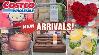 COSTCO NEW ARRIVALS for FEBRUARY 2025! GREAT FINDS! ️(2/7)