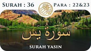 36 Surah Yaseen  | Para 22 & 23| Visual Quran with Urdu Translation